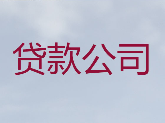 莱芜区贷款公司-银行信用贷款